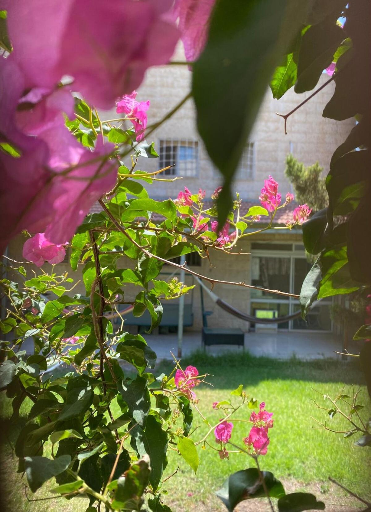 דירת גן מרווחת במיקום מעולה עם נטפליקס חינמי Apartment Ma'ale Adumim Екстериор снимка